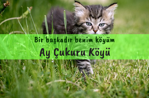 Ay Çukuru Köyü